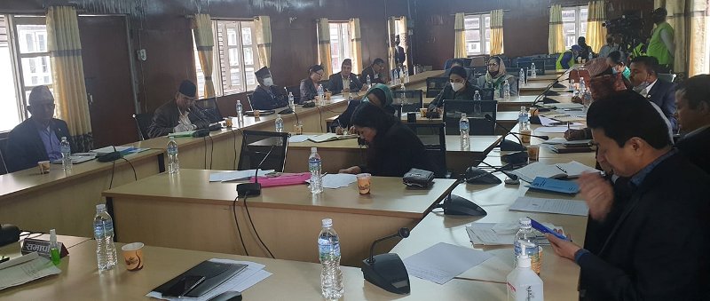 बजेटको बहसमा सहकारी बैंक र साकोसकालागि छुट्टा छुट्टै कानुनको माग